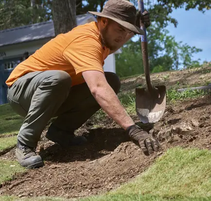 Shrub and Tree Installation